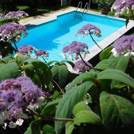 Four Seasons Apartment "Green Paradise" フィラハ エクステリア 写真