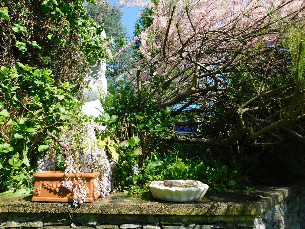 Four Seasons Apartment "Green Paradise" フィラハ エクステリア 写真