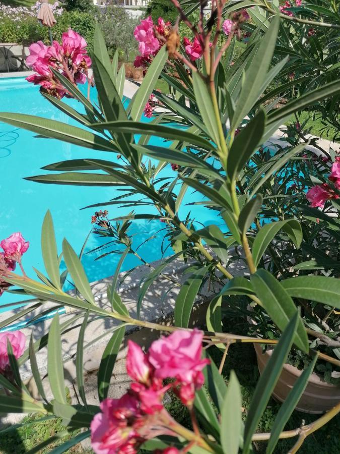 Four Seasons Apartment "Green Paradise" フィラハ エクステリア 写真